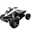 Wholesale 125cc ATV Japanese Racing Type R12 UPGRADED MODEL