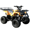 Wholesale Mid Size ATV
