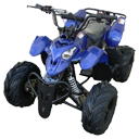 ATV Prowler Quad wholesale 110cc