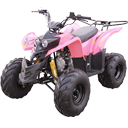 Quad 110cc ATV wholesale