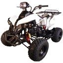 Quad 110cc ATV wholesale