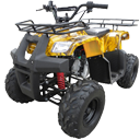 Quad 110cc ATV wholesale