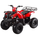 125cc  Quad ATV Wholesale