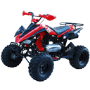ATVs Wholesale Quad 150cc